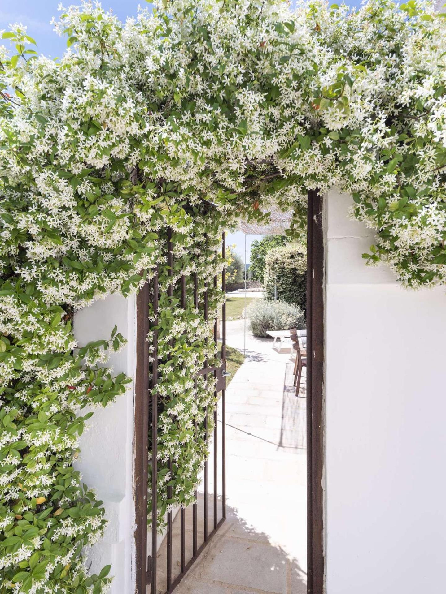 Masseria Alchimia Фазано Экстерьер фото